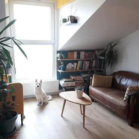 Cocon Au Coeur De *